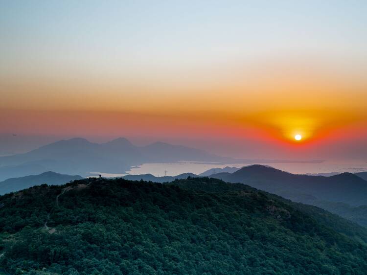大帽山郊野公園