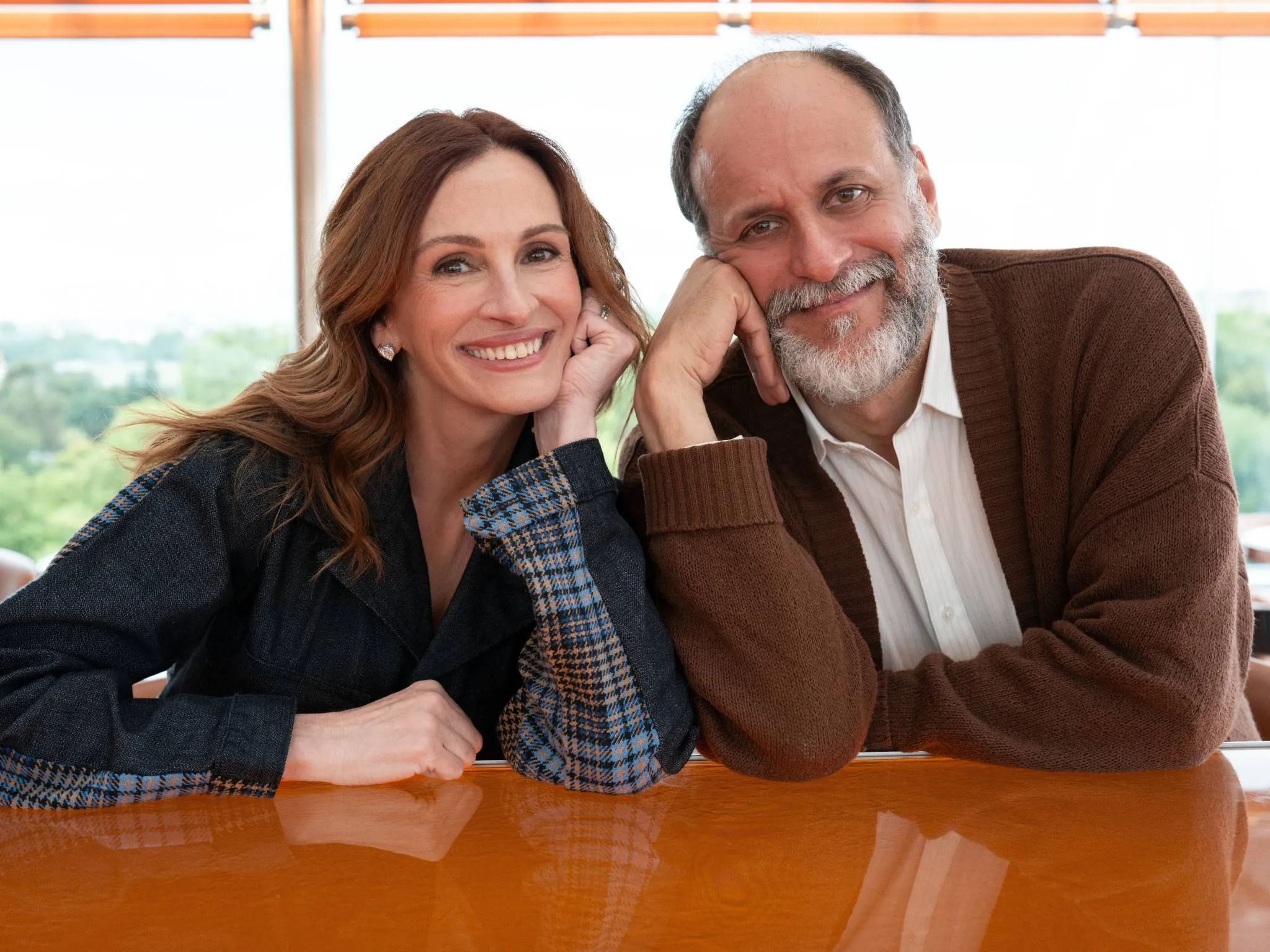 julia-roberts-luca-guadagnino