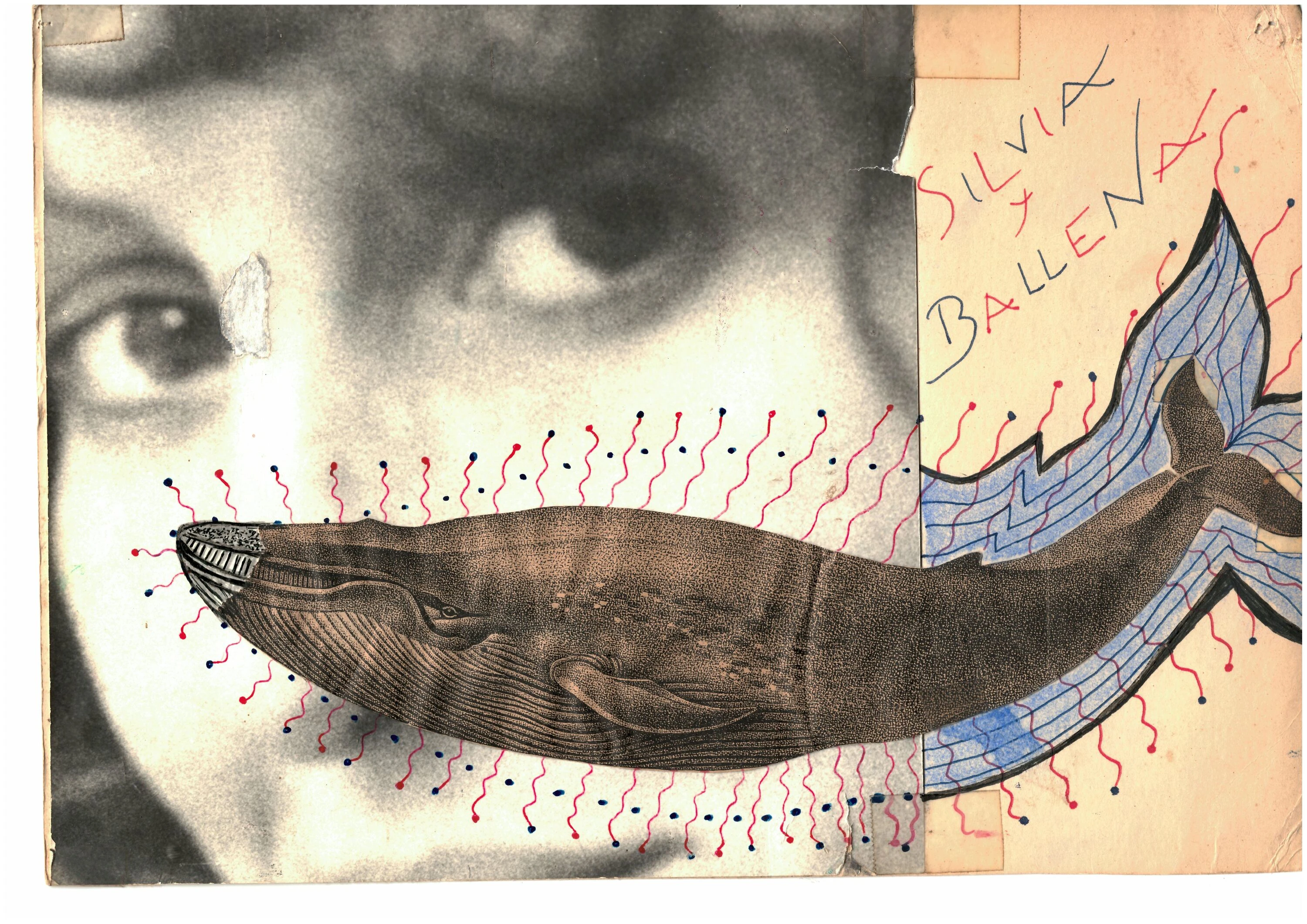 S&iuml;lvia y ballena