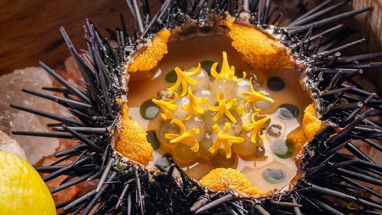 Menu degustação do Origem, em Salvador