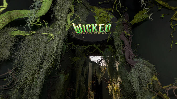 Explore life-sized Elphaba and Glinda scenes, frozen mid-conversation, in surprising theatrical detail