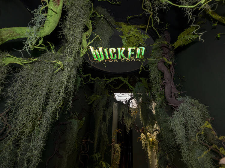 Explore life-sized Elphaba and Glinda scenes, frozen mid-conversation, in surprising theatrical detail