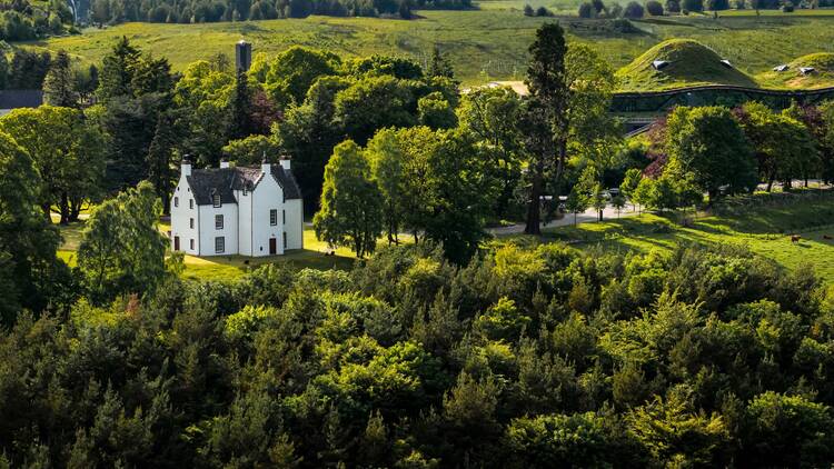 The Macallan The Macallan