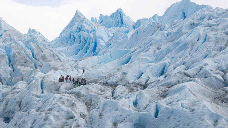 7 imperdibles de El Calafate para visitar al menos una vez en la vida