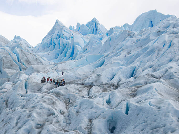 7 imperdibles de El Calafate para visitar al menos una vez en la vida