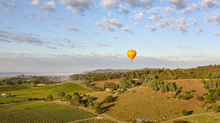 Hot air ballooning over the Yarra Valley