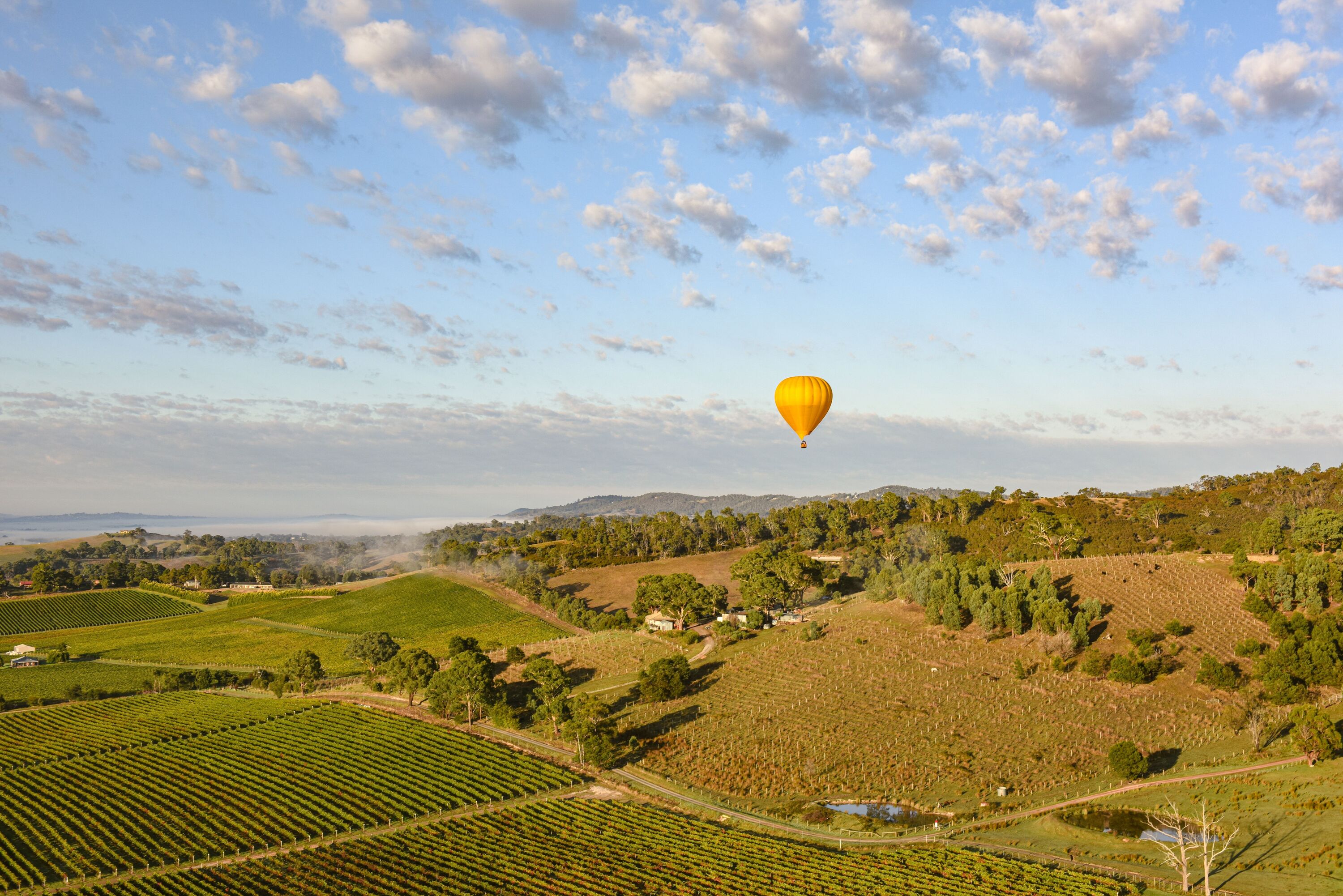 timeout.com - Melissa Woodley - This beautiful Victorian wine region is the top trending destination in Australia right now