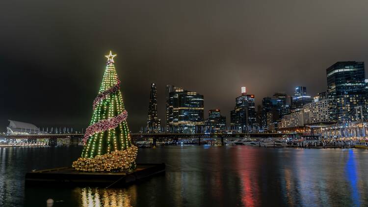 See Sydney’s floating Christmas tree