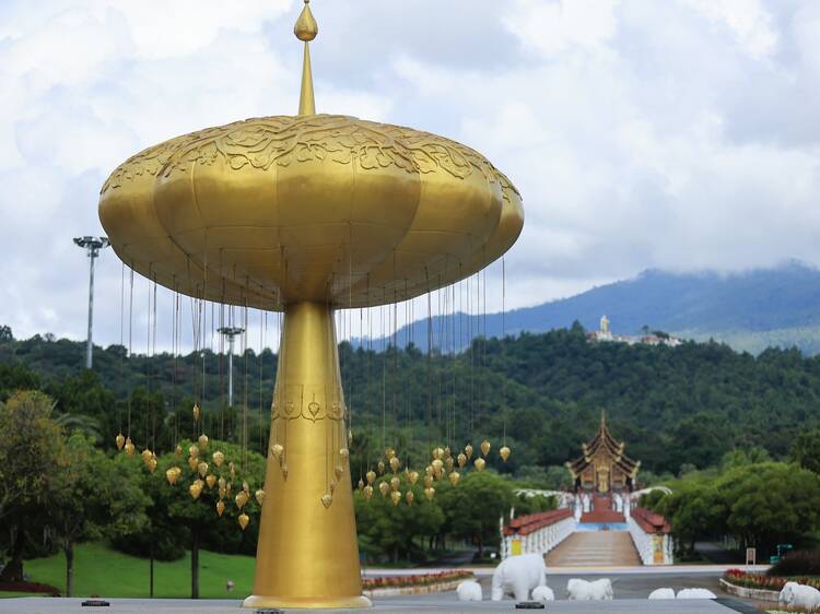 The best things to do in Chiang Mai this weekend (November 20-23)