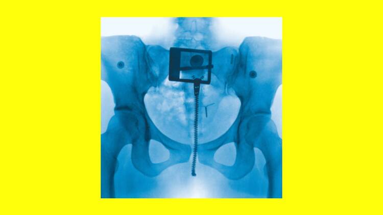 ‘Virgin’ – Lorde