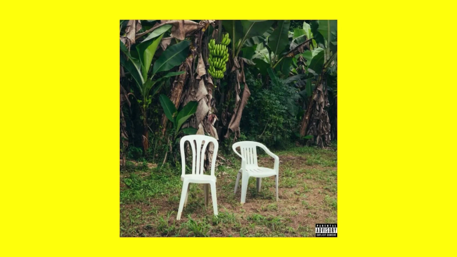 &lsquo;DeB&Iacute; TiRAR M&aacute;S FOToS&rsquo; by Bad Bunny