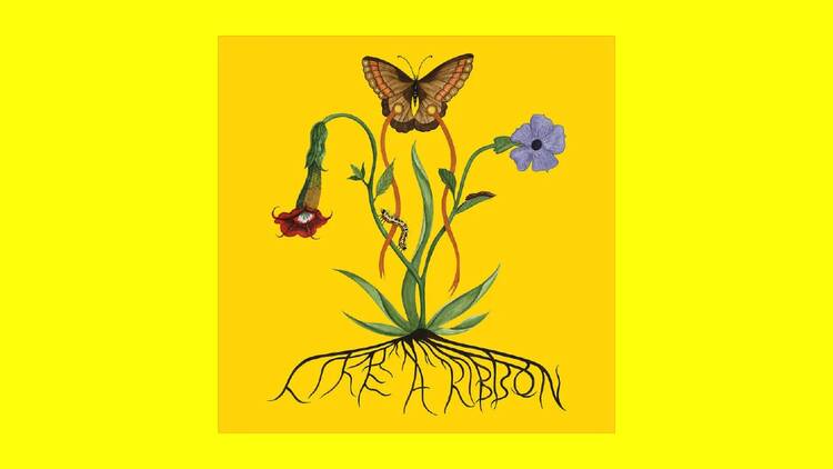 ‘Like a Ribbon’ – John Glacier