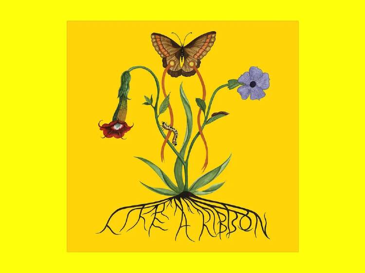 ‘Like a Ribbon’ – John Glacier