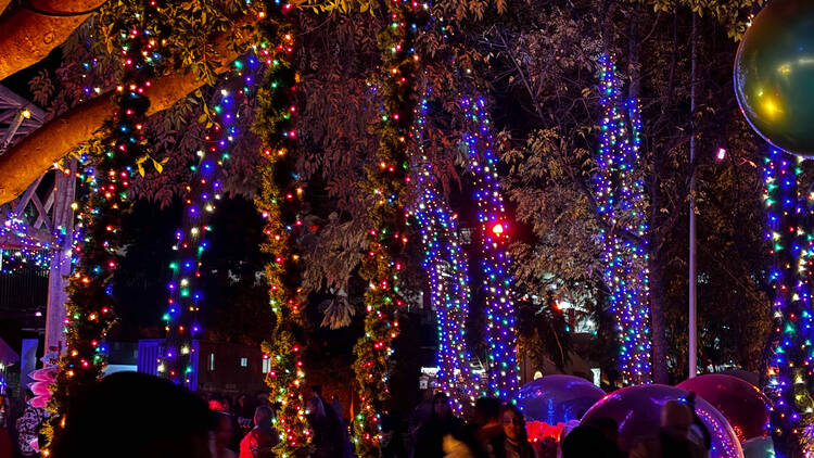 Christmas Lights en Parque Naucalli