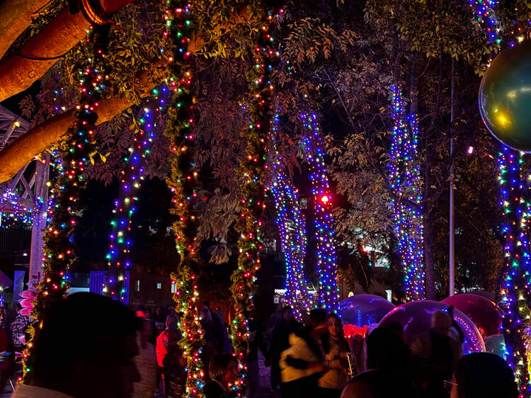 Christmas Lights en Parque Naucalli Christmas Lights en Parque Naucalli