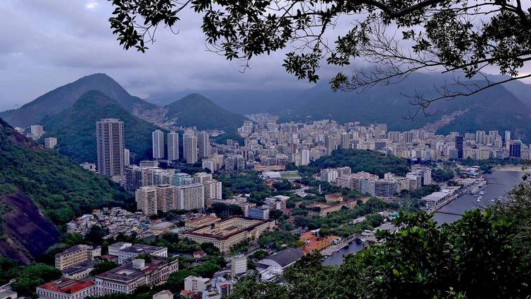 Lugar para vacunarte contra la fiebre amarilla en CDMX