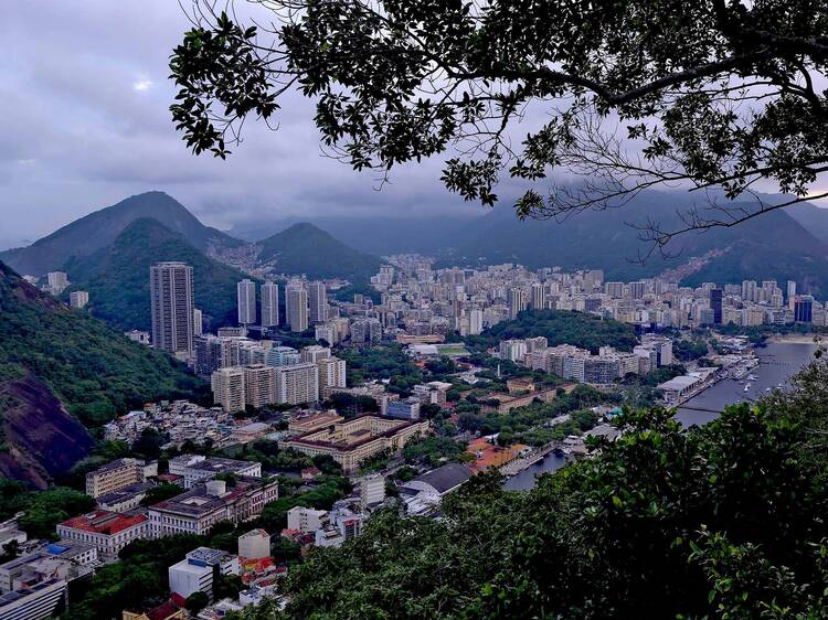 Lugar para vacunarte contra la fiebre amarilla en CDMX