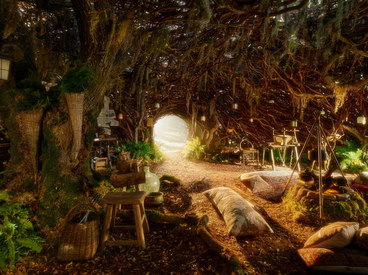 Vive tus sueños de verdadero fan en Airbnb con experiencias icónicas