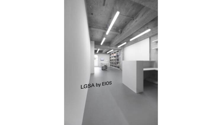 LGSA by EIOS