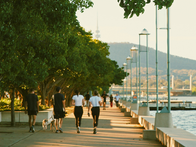 Do a loop of Lake Burley Griffin