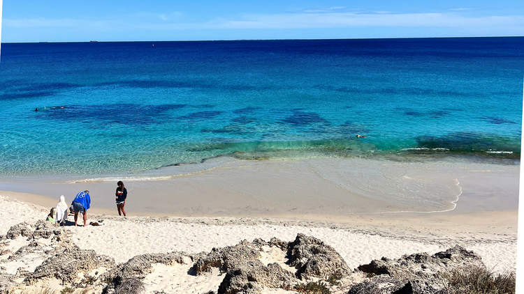 Swim at Cottesloe Beach