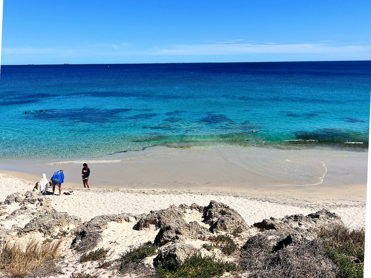 Swim at Cottesloe Beach