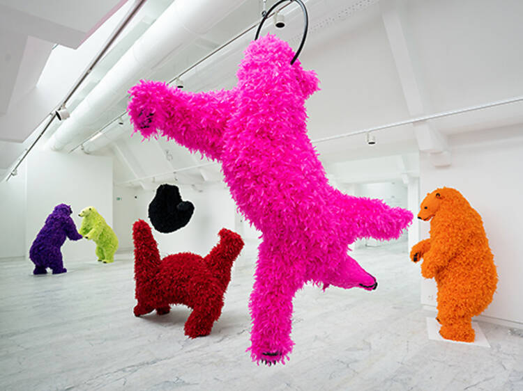 Enter the surreal world of ‘I don’t like it, I love it’