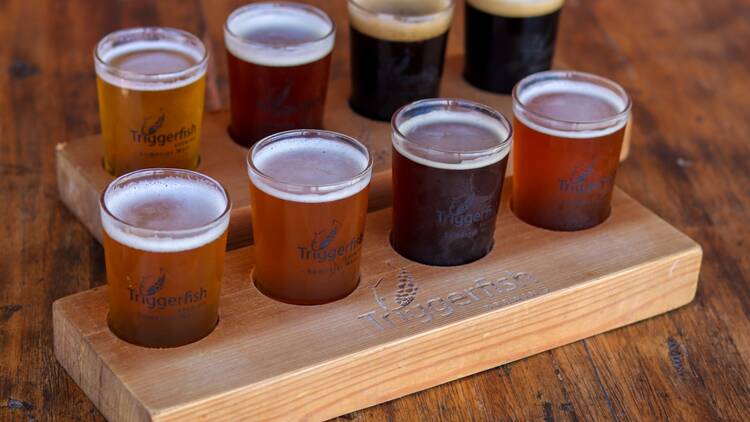 Triggerfish Brewing