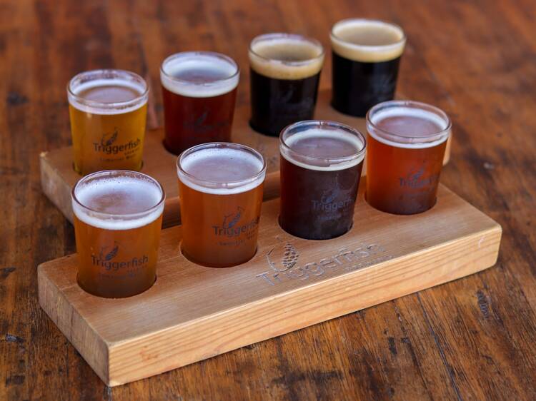 Triggerfish Brewing