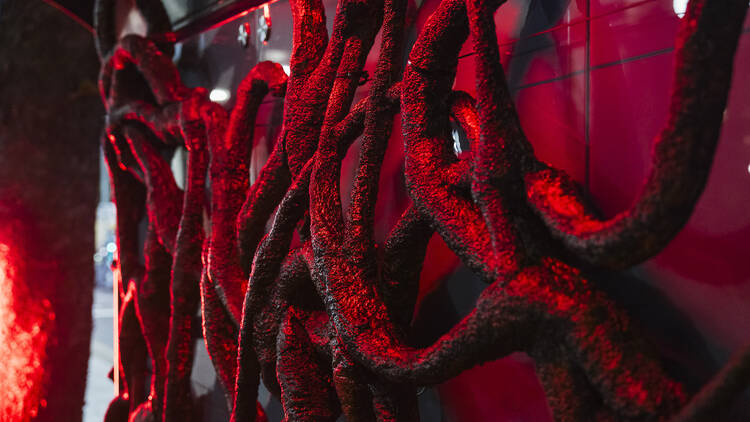 Netflix's Stranger Things in Sydney Netflix's Stranger Things in Sydney