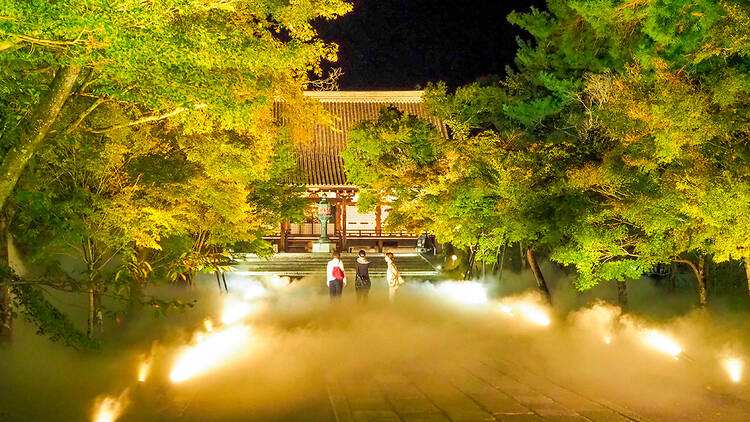 Ninnaji Temple: Autumn Leaves and Sea of Clouds Light-Up Ninnaji Temple: Autumn Leaves and Sea of Clouds Light-Up
