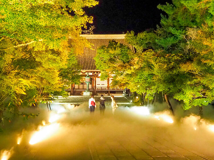 Ninnaji Temple: Autumn Leaves and Sea of Clouds Light-Up Ninnaji Temple: Autumn Leaves and Sea of Clouds Light-Up