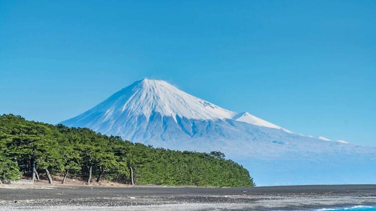 The world’s ’most desirable’ countries to visit, according to over 200,000 travellers