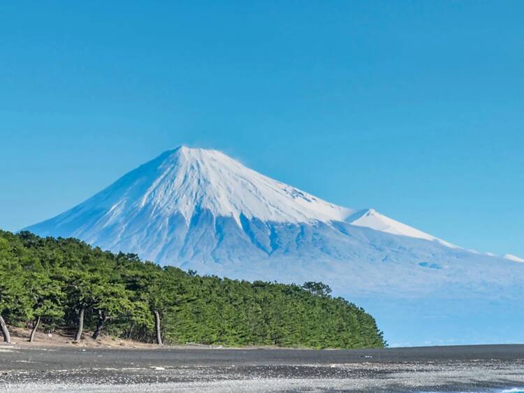 20万人以上の旅行者が選んだ世界で「最も魅力的な国」、日本が第1位に選出
