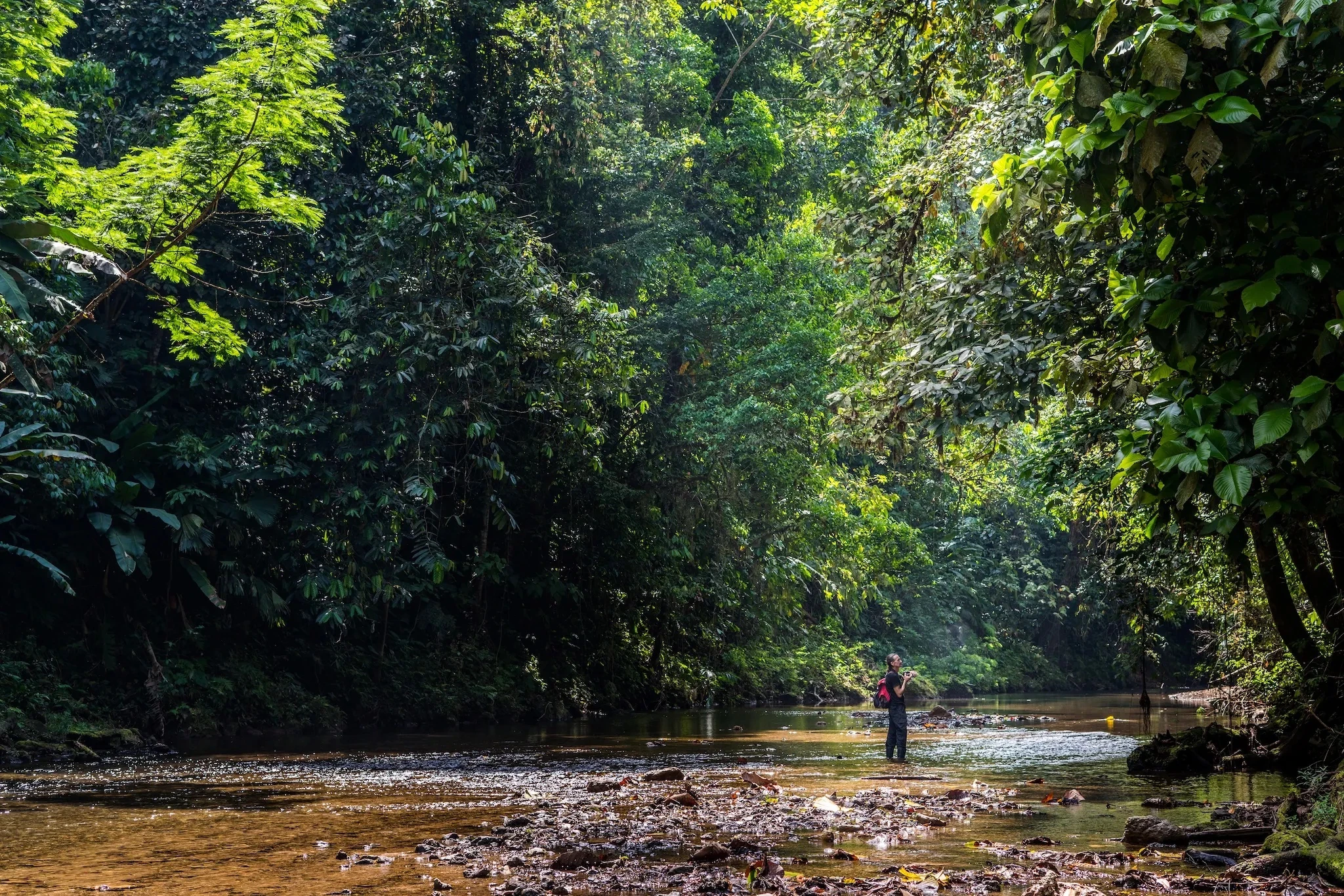 The world&rsquo;s &rsquo;most desirable&rsquo; countries to visit, according to over 200,000 travellers