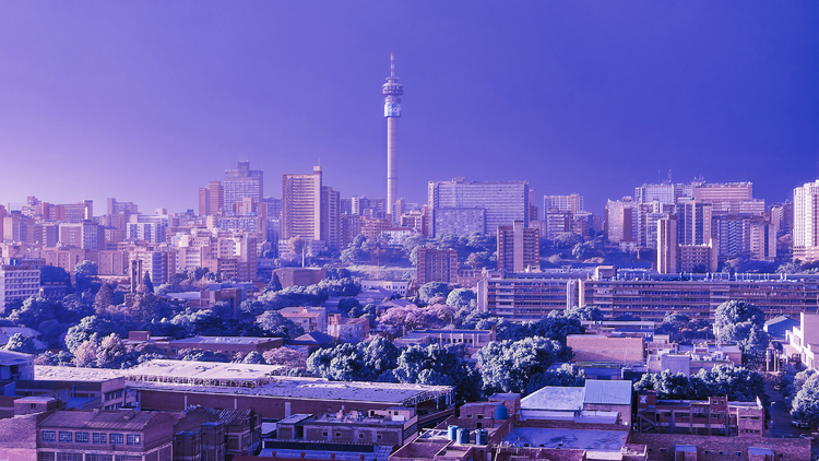 Purple Johannesburg 