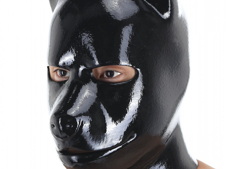 Doberman rubber puppy mask Doberman rubber puppy mask