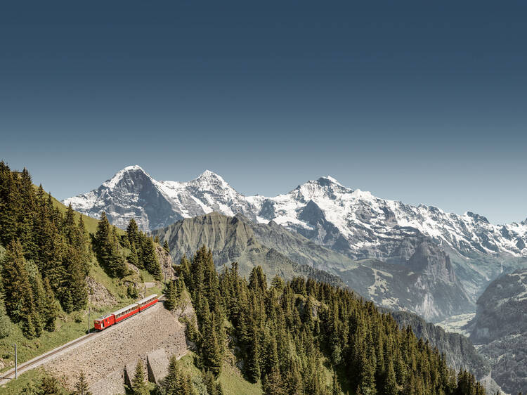 Start your hike at Schynige Platte