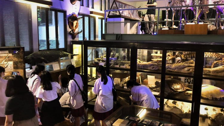 พิพิธภัณฑสถานธรรมชาติวิทยาแห่งจุฬาฯ