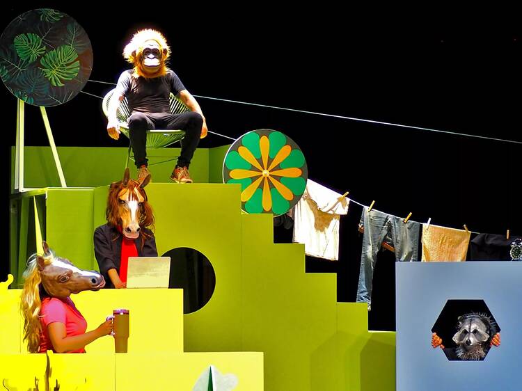 Komunumo, un vuelo entre generaciones