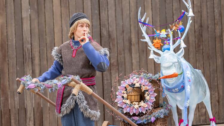 Disneyland Christmas