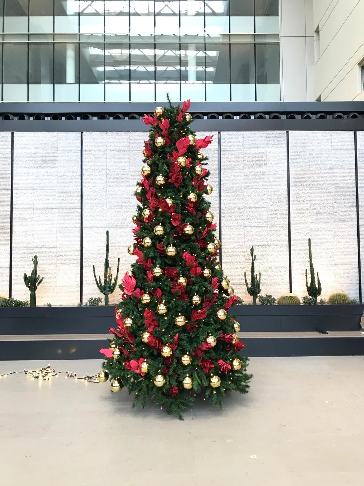 B&M &Aacute;rboles de Navidad