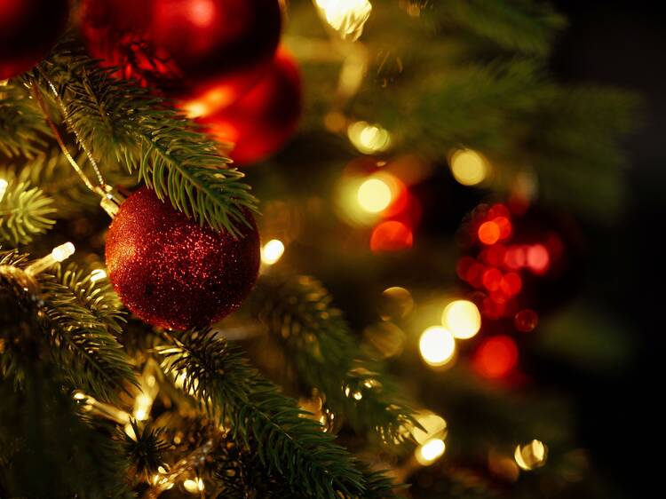 Así es el negocio familiar que revoluciona la decoración navideña en los hogares de Madrid: puedes alquilar árboles de Navidad de hasta 5 metros y belenes