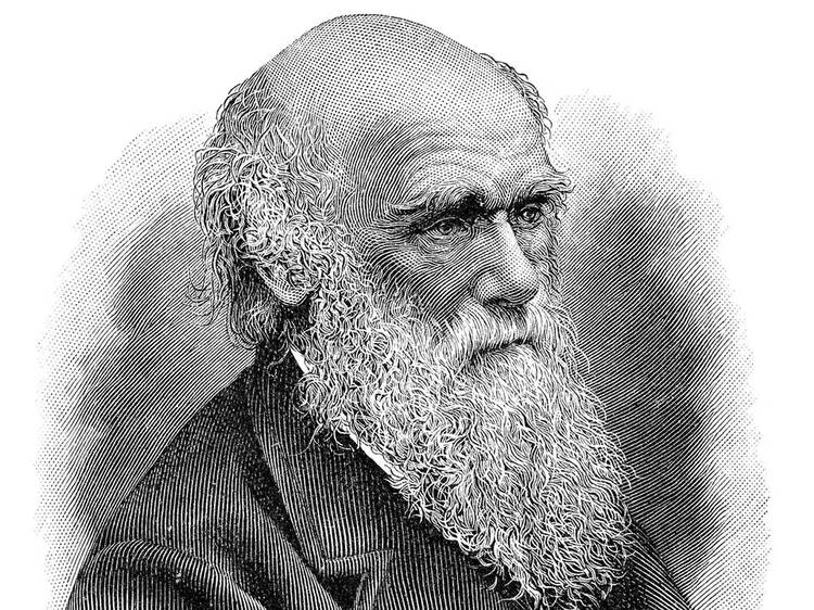 Lectura continuada de El origen de las especies