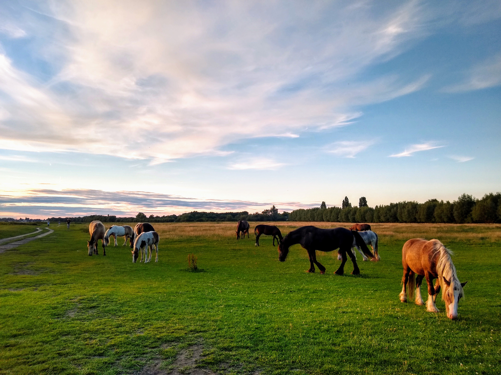 This quaint countryside trail is one of the best winter day trips from London
