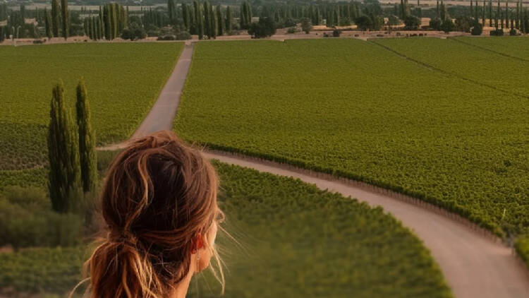 Finca El Paraíso – Luigi Bosca