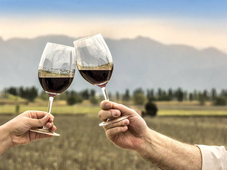 Argentine Wine Day: the national celebration that is conquering the world from Mendoza