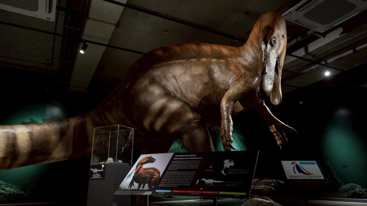 The Night at the Museum Festival 