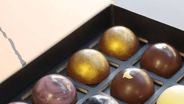 Danielle Pacheco Chocolatier