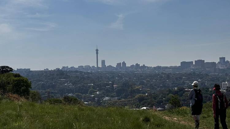 The view from Melville Koppies East towards Joburg CBD The view from Melville Koppies East towards Joburg CBD